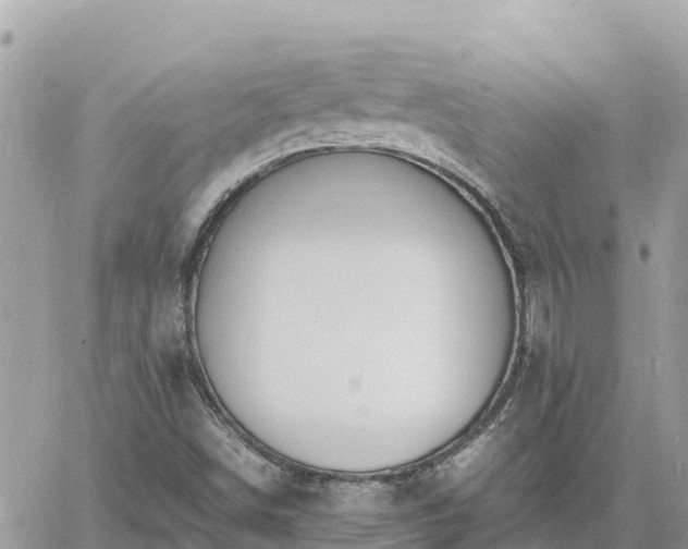 X0000060751498200511171109