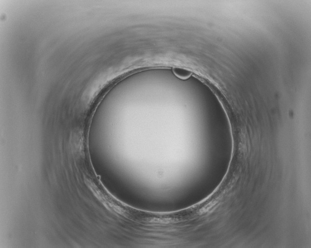 X0000060751499200511171109