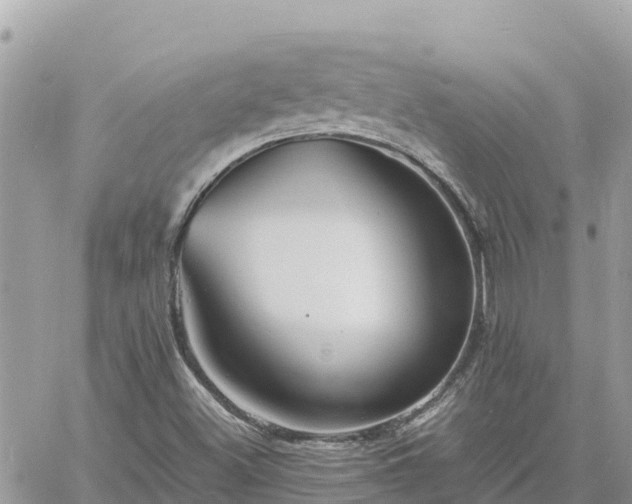 X0000060751500200511171109