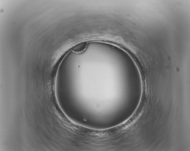 X0000060751501200511171109