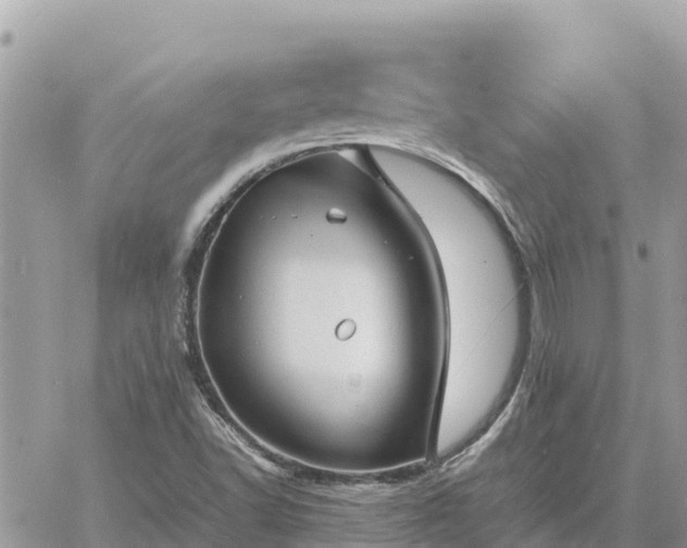 X0000060751502200511171109