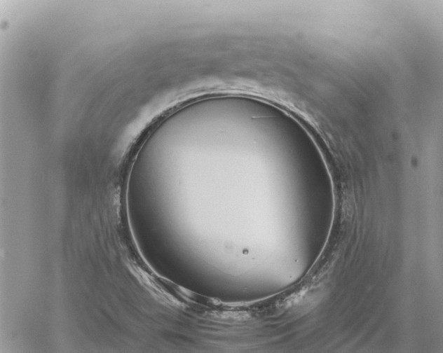 X0000060751503200511171109