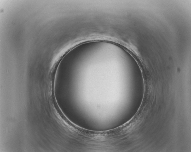 X0000060751504200511171109