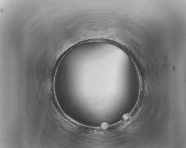 X0000060751505200511171109