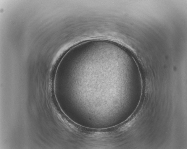 X0000060751506200511171109