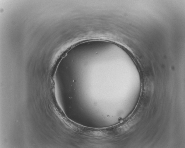 X0000060751507200511171109