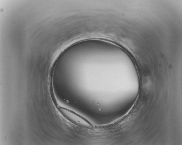 X0000060751508200511171109