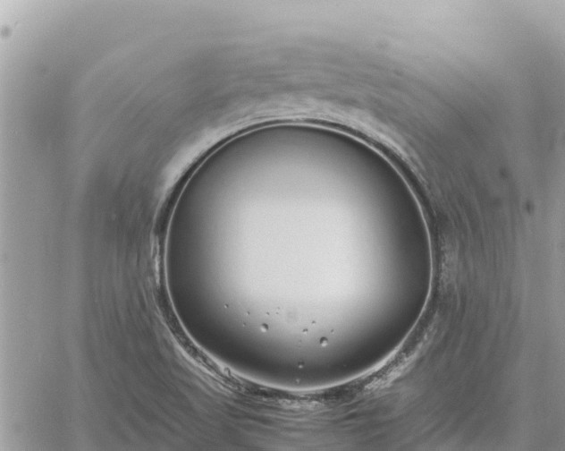 X0000060751509200511171109