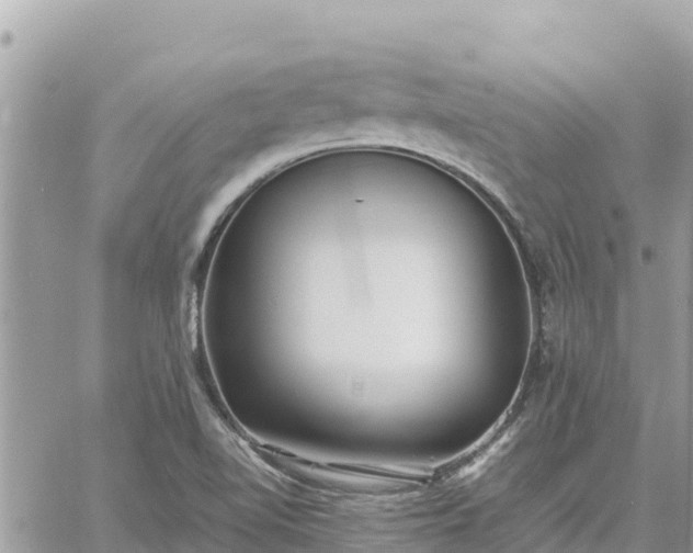 X0000060751510200511171109