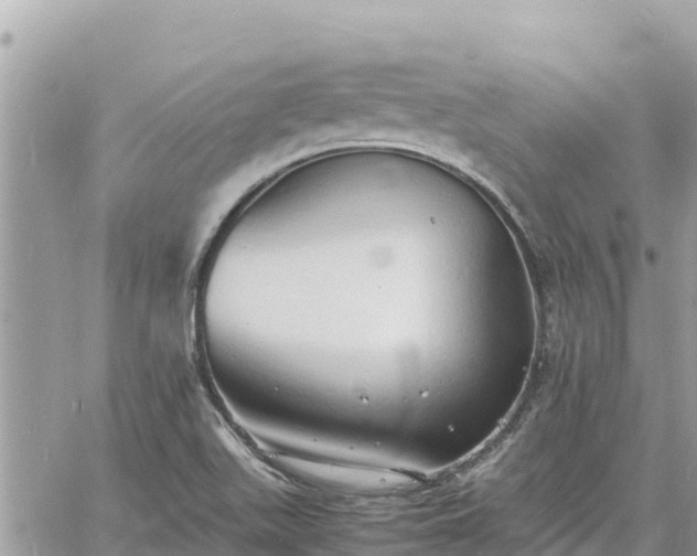 X0000060751511200511171109