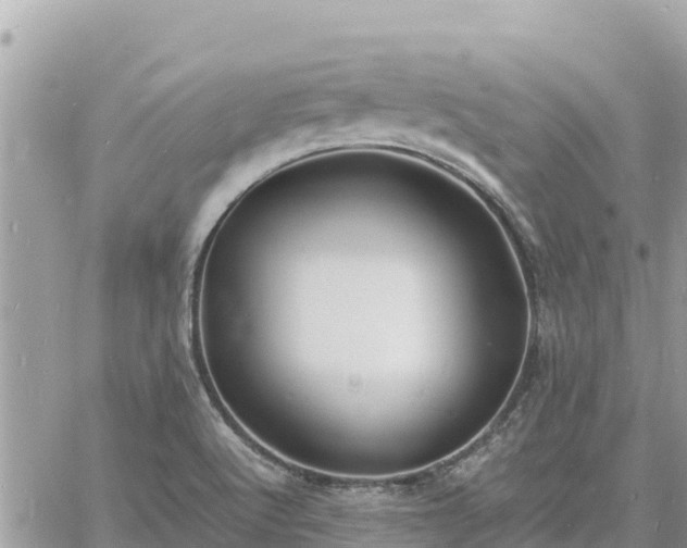 X0000060751512200511171109