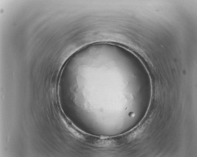 X0000060751513200511171109