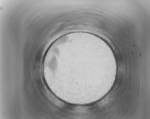 X0000060751514200511171109