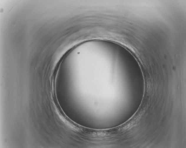 X0000060751515200511171109