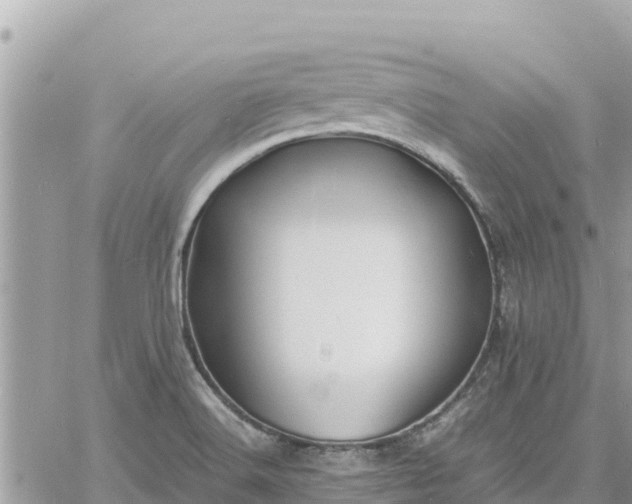 X0000060751516200511171109