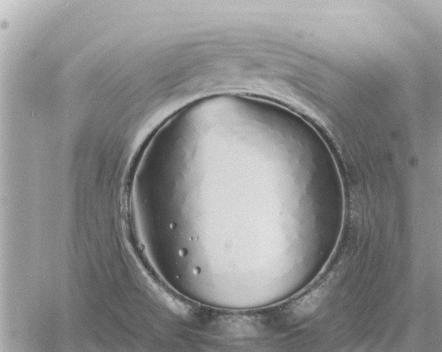 X0000060751517200511171109