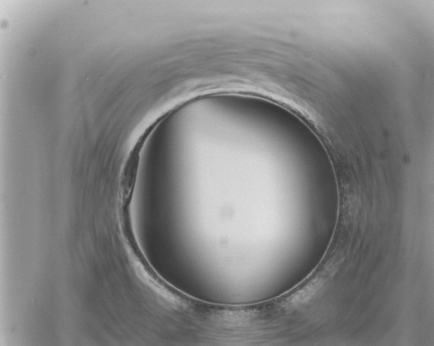 X0000060751518200511171109