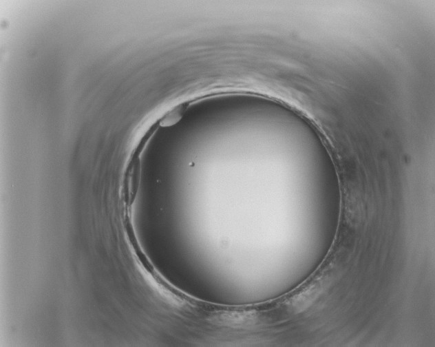 X0000060751519200511171109