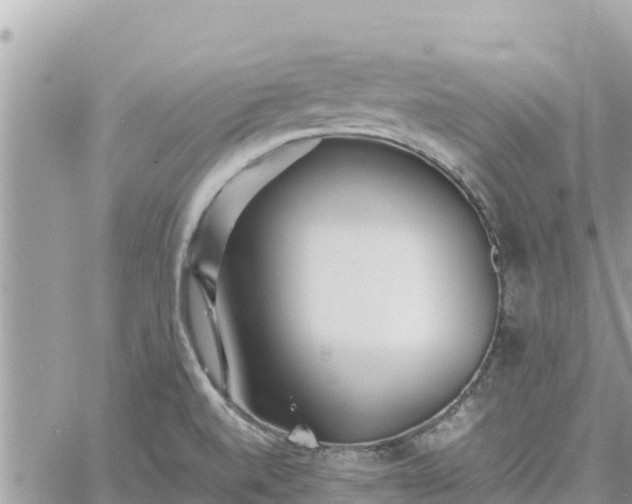 X0000060751520200511171109