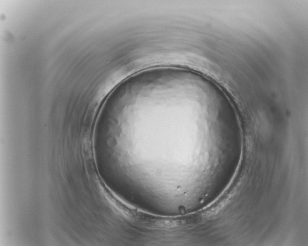 X0000060751521200511171109