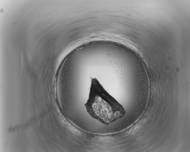 X0000060751522200511171109