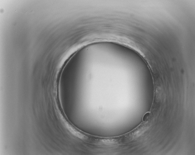 X0000060751523200511171109