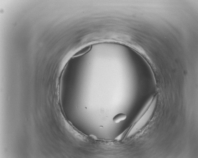 X0000060751524200511171109