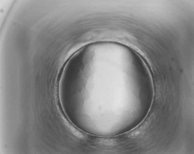 X0000060751525200511171109