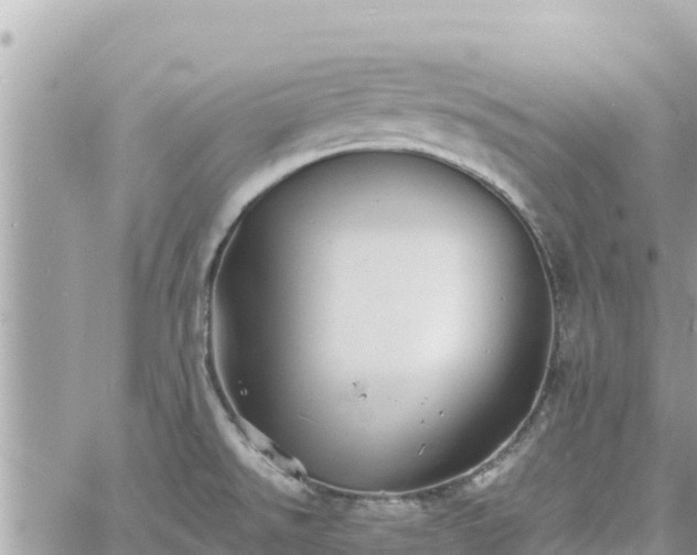 X0000060751526200511171109