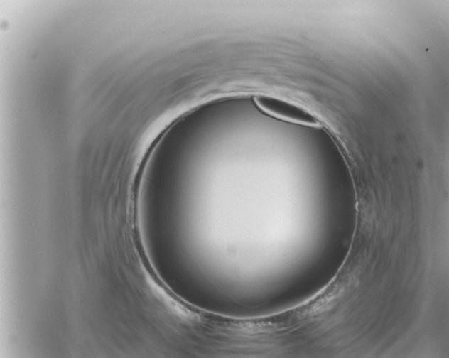 X0000060751527200511171109