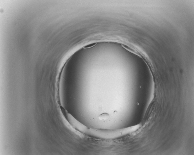 X0000060751528200511171109