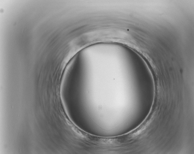 X0000060751529200511171109