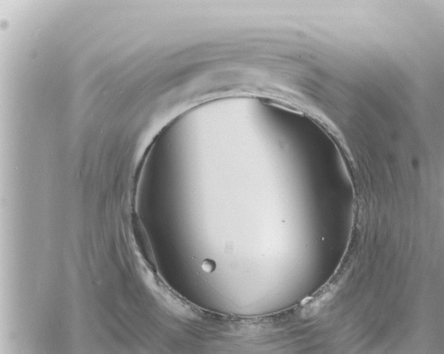 X0000060751530200511171109