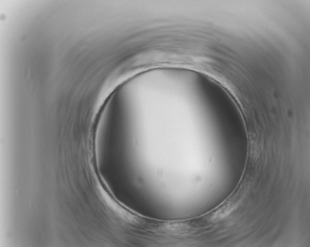 X0000060751531200511171110