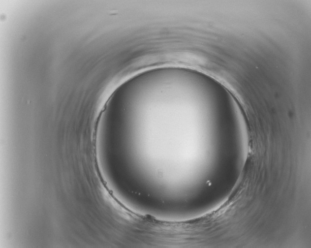 X0000060751532200511171110