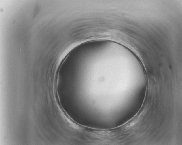 X0000060751533200511171110