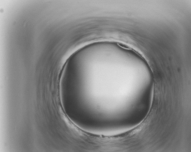 X0000060751534200511171110