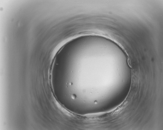 X0000060751535200511171110