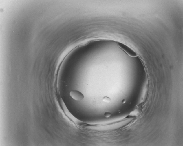 X0000060751536200511171110