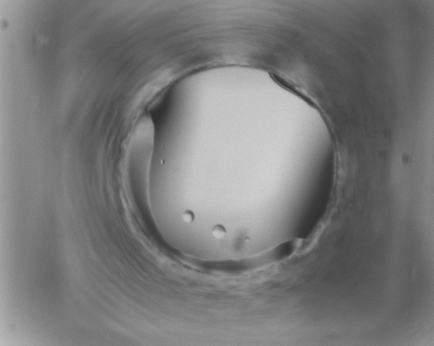 X0000060750001200511241715