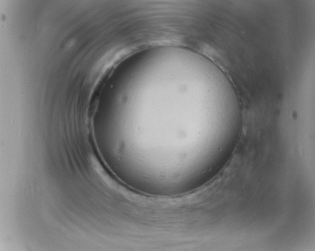 X0000060750002200511241715