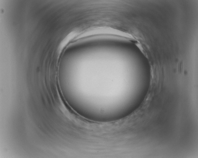 X0000060750003200511241715