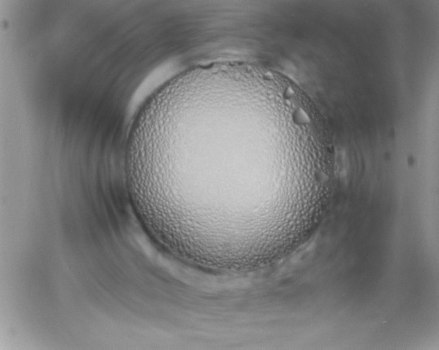 X0000060750004200511241715