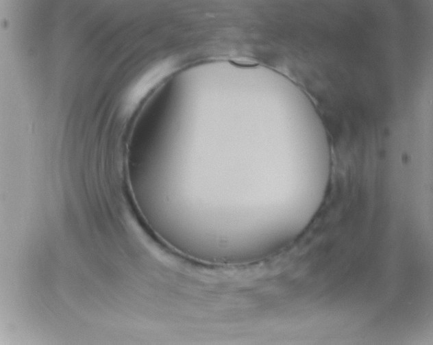 X0000060750005200511241715