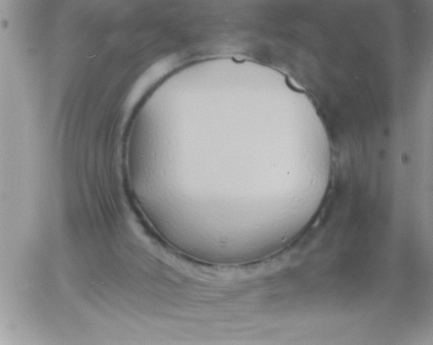 X0000060750006200511241715