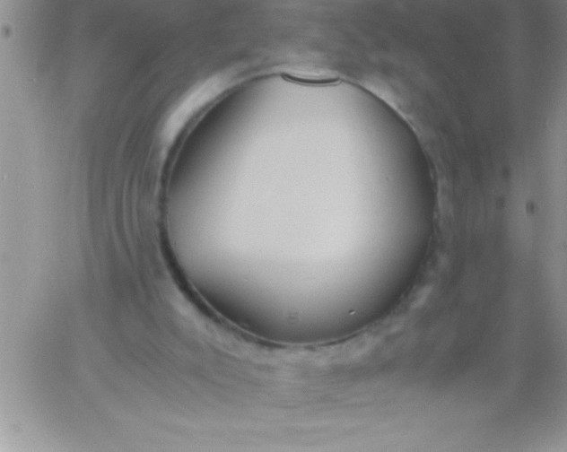 X0000060750007200511241715