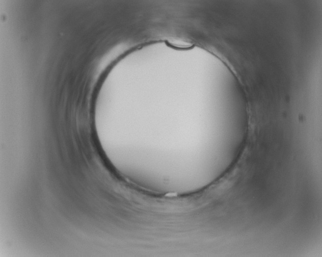 X0000060750008200511241715