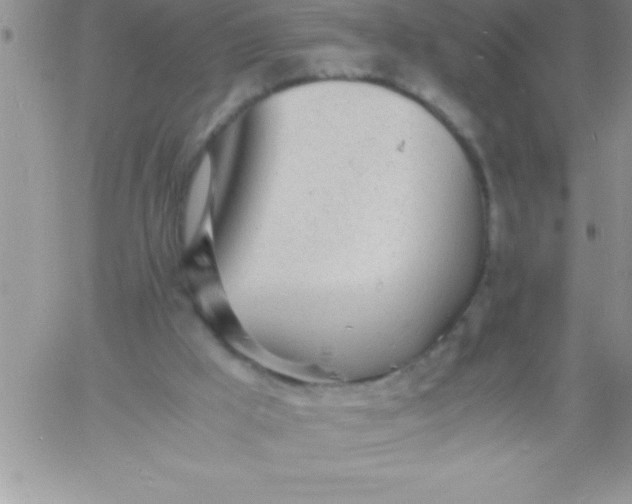 X0000060750009200511241715