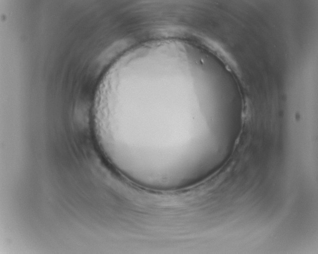 X0000060750010200511241715