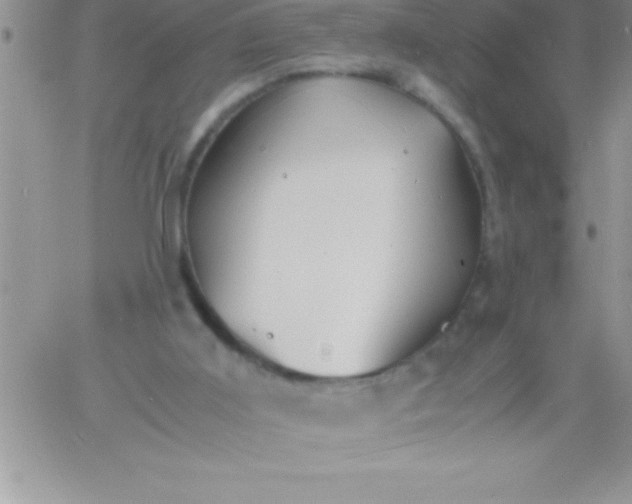 X0000060750011200511241715